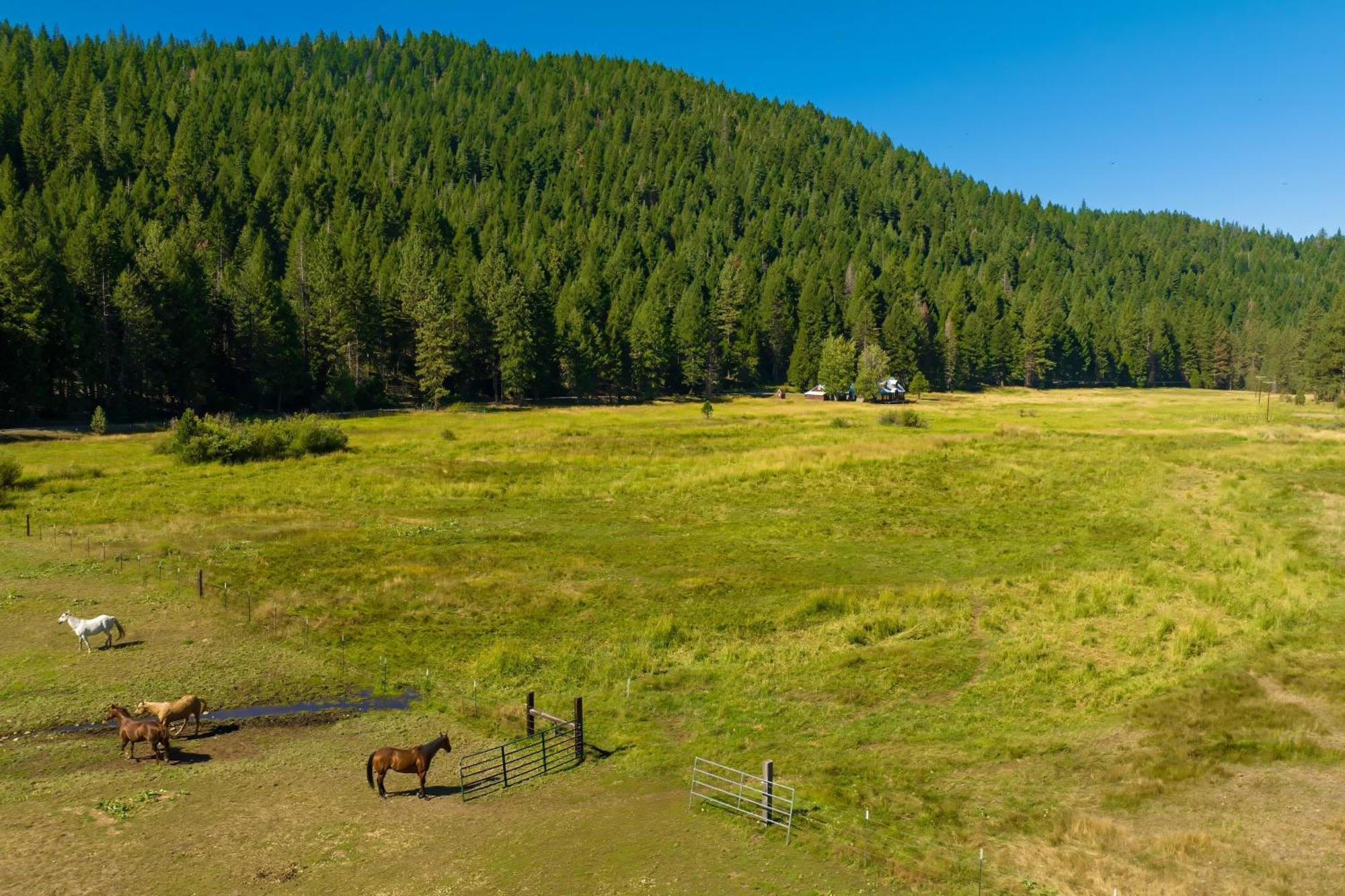 Feather House | The Lost Sierra Ranch Graeagle Eksteriør billede